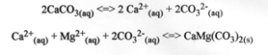 he dissolution of calcite and the precipitation of dolomite as indicated 